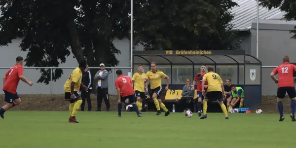 VfB - Blau Rot Coswig