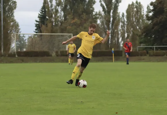 VfB - Blau Rot Coswig