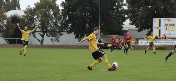 VfB - Blau Rot Coswig