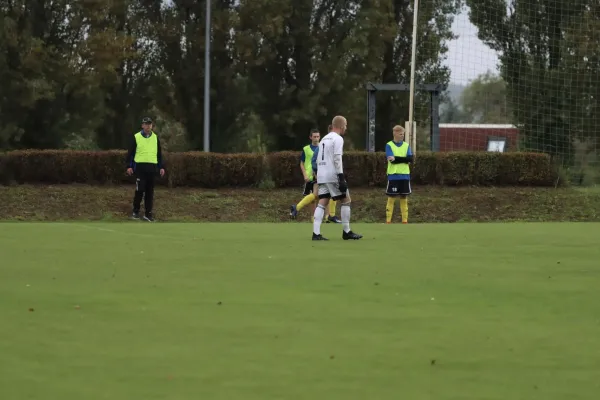 VfB - Blau Rot Coswig