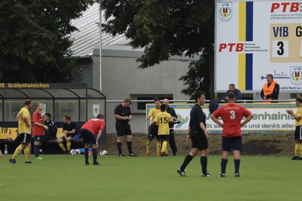 VfB - Blau Rot Coswig