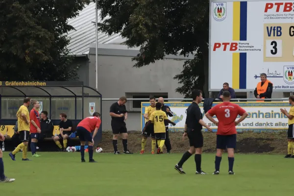 VfB - Blau Rot Coswig