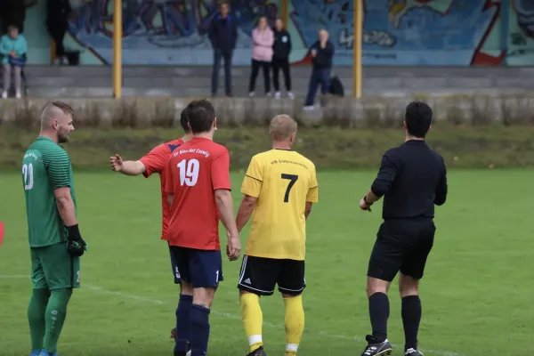 VfB - Blau Rot Coswig