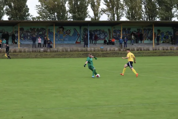 VfB - Blau Rot Coswig