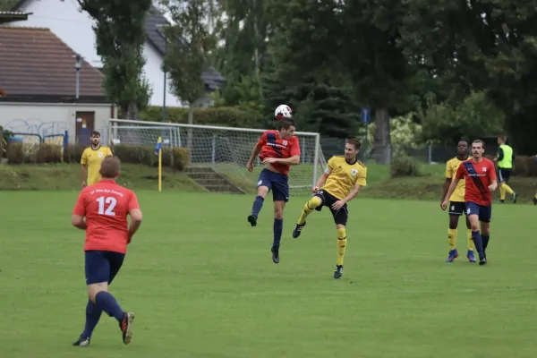 VfB - Blau Rot Coswig