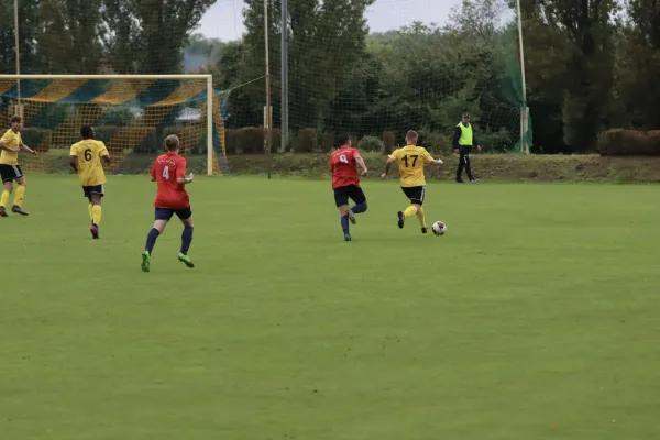 VfB - Blau Rot Coswig