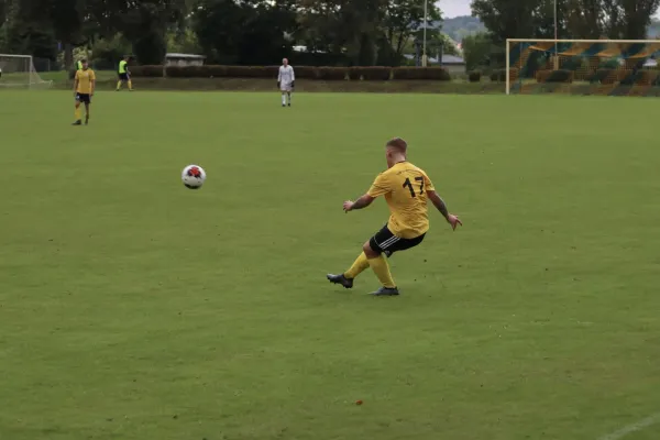 VfB - Blau Rot Coswig