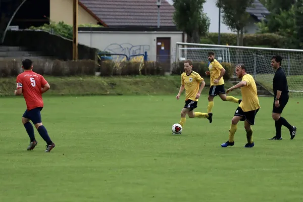 VfB - Blau Rot Coswig