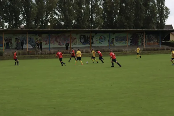 VfB - Blau Rot Coswig