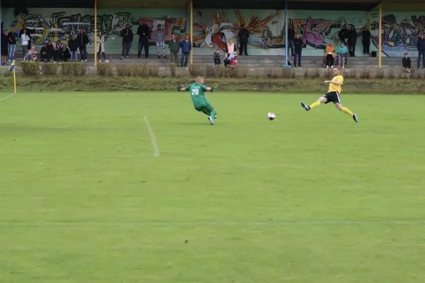 VfB - Blau Rot Coswig