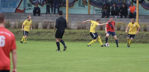 VfB - Blau Rot Coswig