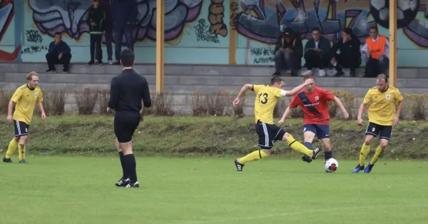VfB - Blau Rot Coswig