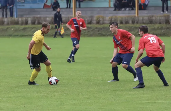 VfB - Blau Rot Coswig