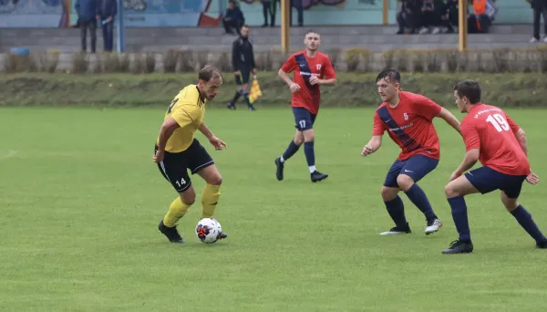 VfB - Blau Rot Coswig