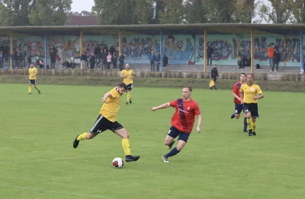 VfB - Blau Rot Coswig