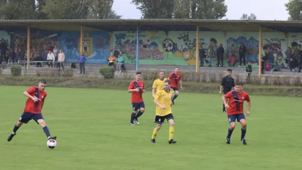 VfB - Blau Rot Coswig