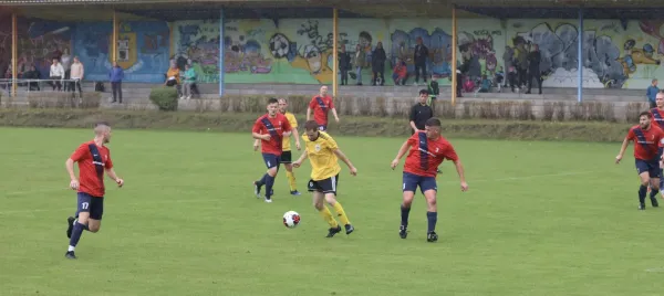 VfB - Blau Rot Coswig