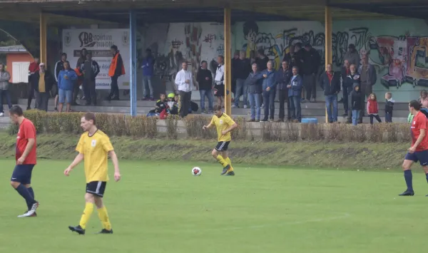 VfB - Blau Rot Coswig