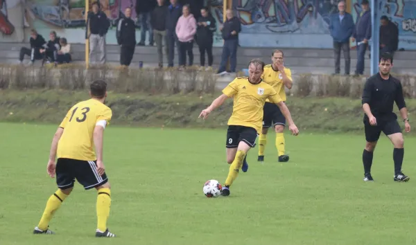 VfB - Blau Rot Coswig