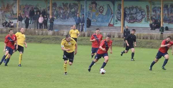 VfB - Blau Rot Coswig