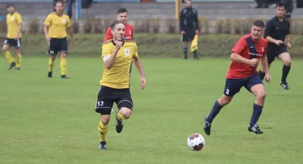 VfB - Blau Rot Coswig