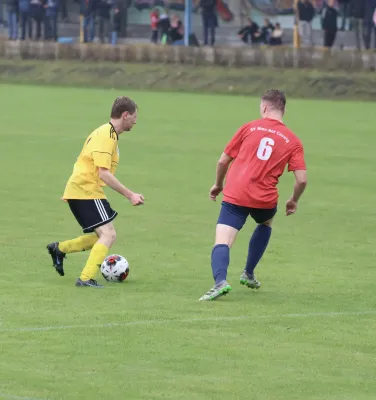 VfB - Blau Rot Coswig