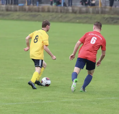 VfB - Blau Rot Coswig