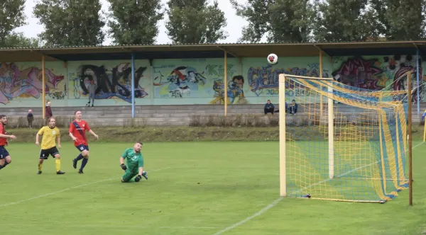 VfB - Blau Rot Coswig