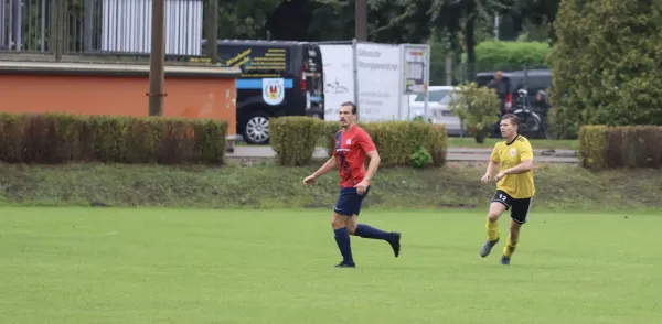 VfB - Blau Rot Coswig