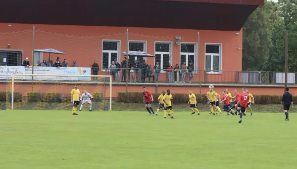 VfB - Blau Rot Coswig