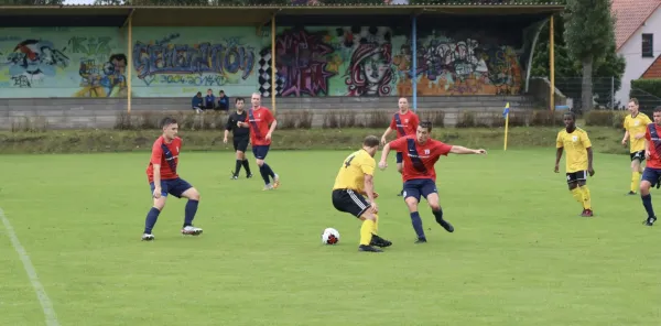 VfB - Blau Rot Coswig