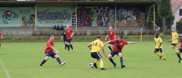 VfB - Blau Rot Coswig