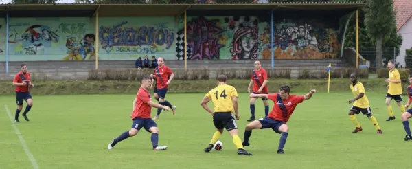 VfB - Blau Rot Coswig