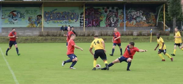 VfB - Blau Rot Coswig