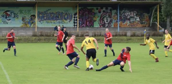 VfB - Blau Rot Coswig
