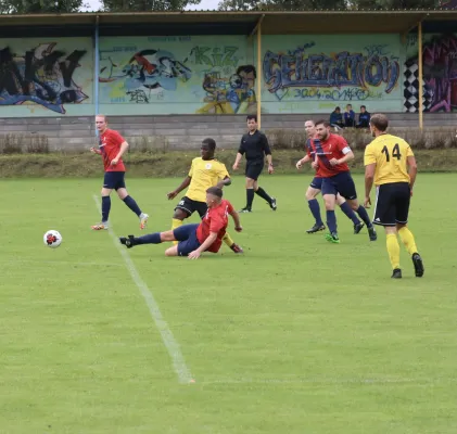VfB - Blau Rot Coswig