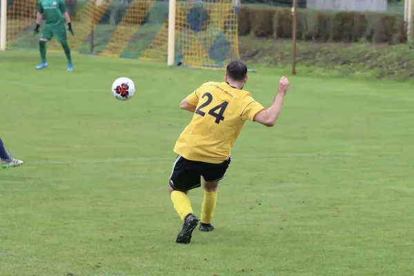 VfB - Blau Rot Coswig