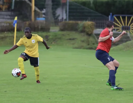 VfB - Blau Rot Coswig