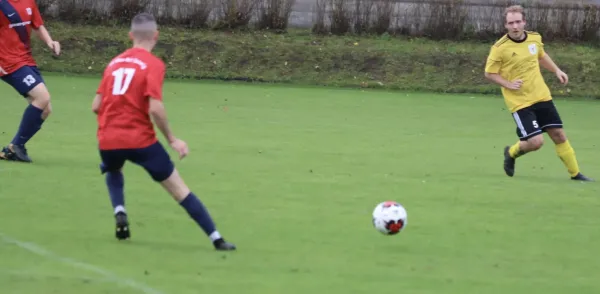 VfB - Blau Rot Coswig