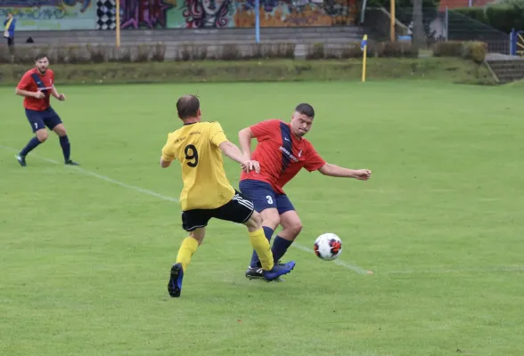 VfB - Blau Rot Coswig