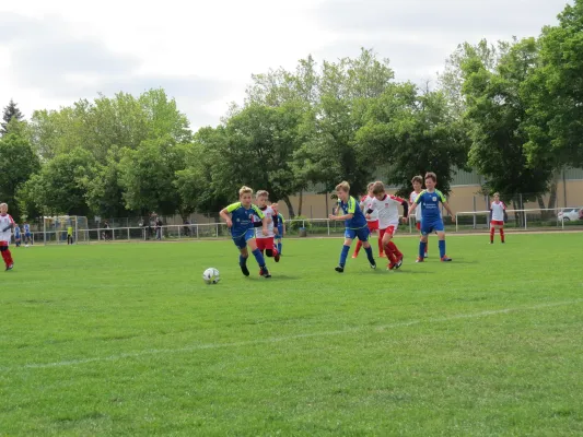 25.05.2019 VfB Gräfenhainichen vs. Einheit Wittenberg