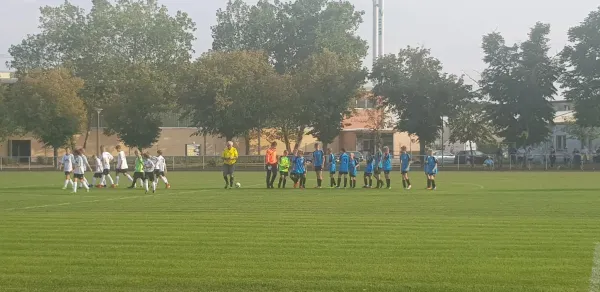 30.08.2019 VfB Gräfenhainichen vs. SG 1948 Reppichau