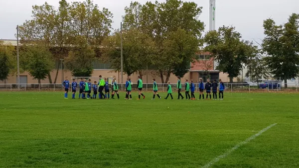 19.10.2019 VfB Gräfenhainichen vs. Bitterfeld-Wolfen