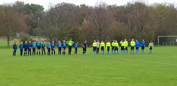 03.11.2019 SG Blau Weiß Dessau vs. VfB Gräfenhainichen