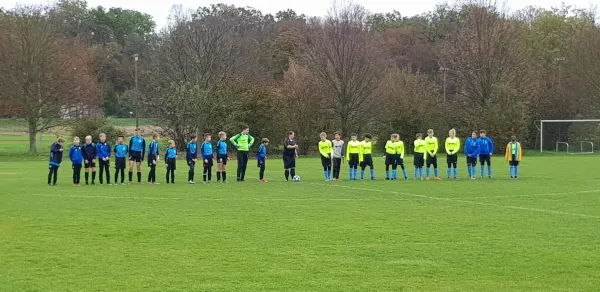 03.11.2019 SG Blau Weiß Dessau vs. VfB Gräfenhainichen