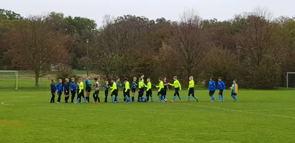 03.11.2019 SG Blau Weiß Dessau vs. VfB Gräfenhainichen