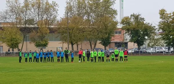 09.11.2019 VfB Gräfenhainichen vs. SG Elbaue Süd