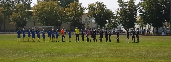 25.08.2019 NSG Muldestausee vs. Sandersdorf/Thalheim