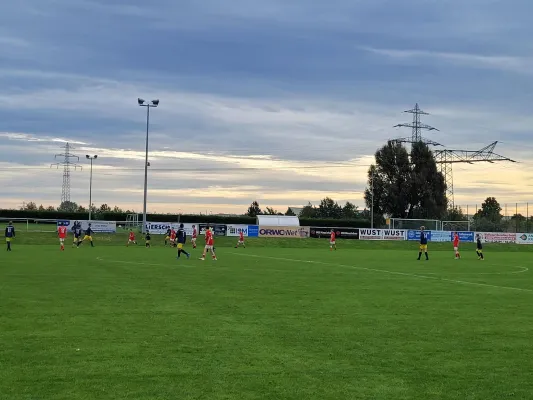 03.10.2021 SG Rot Weiß Thalheim vs. VfB Gräfenhainichen