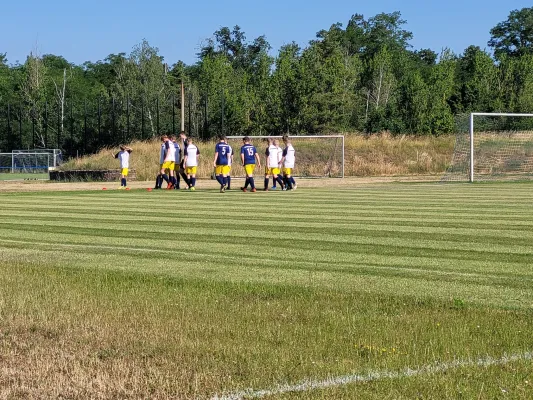 11.06.2022 Spg. United4Lions vs. VfB Gräfenhainichen